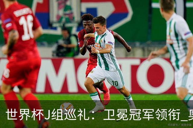 世界杯J组巡礼：卫冕冠军领衔 奥地利终进正赛